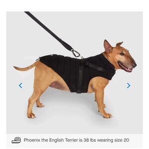 Coat for tiny dogs